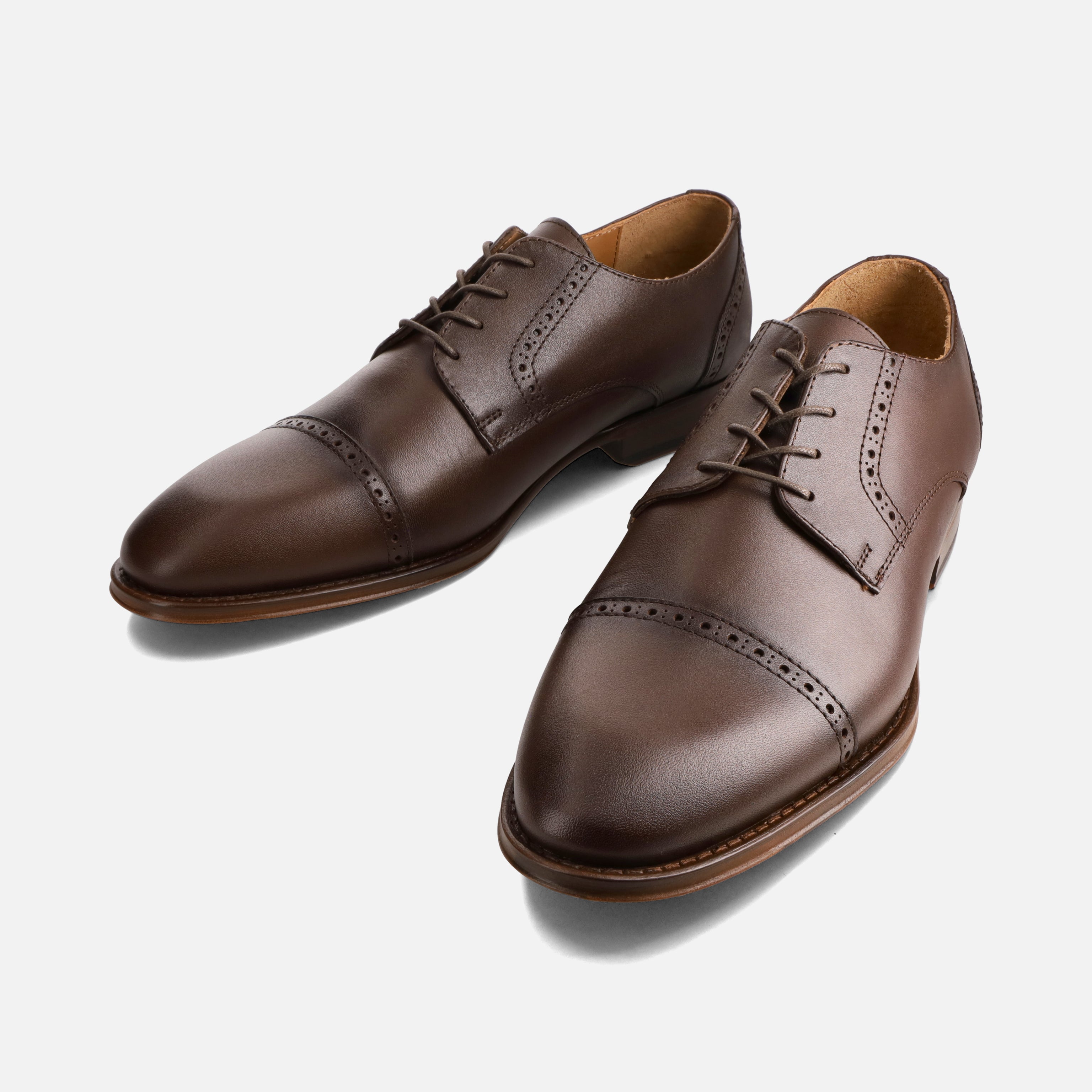 Calzado para Caballero Oxford Windhoek01 | 018V02