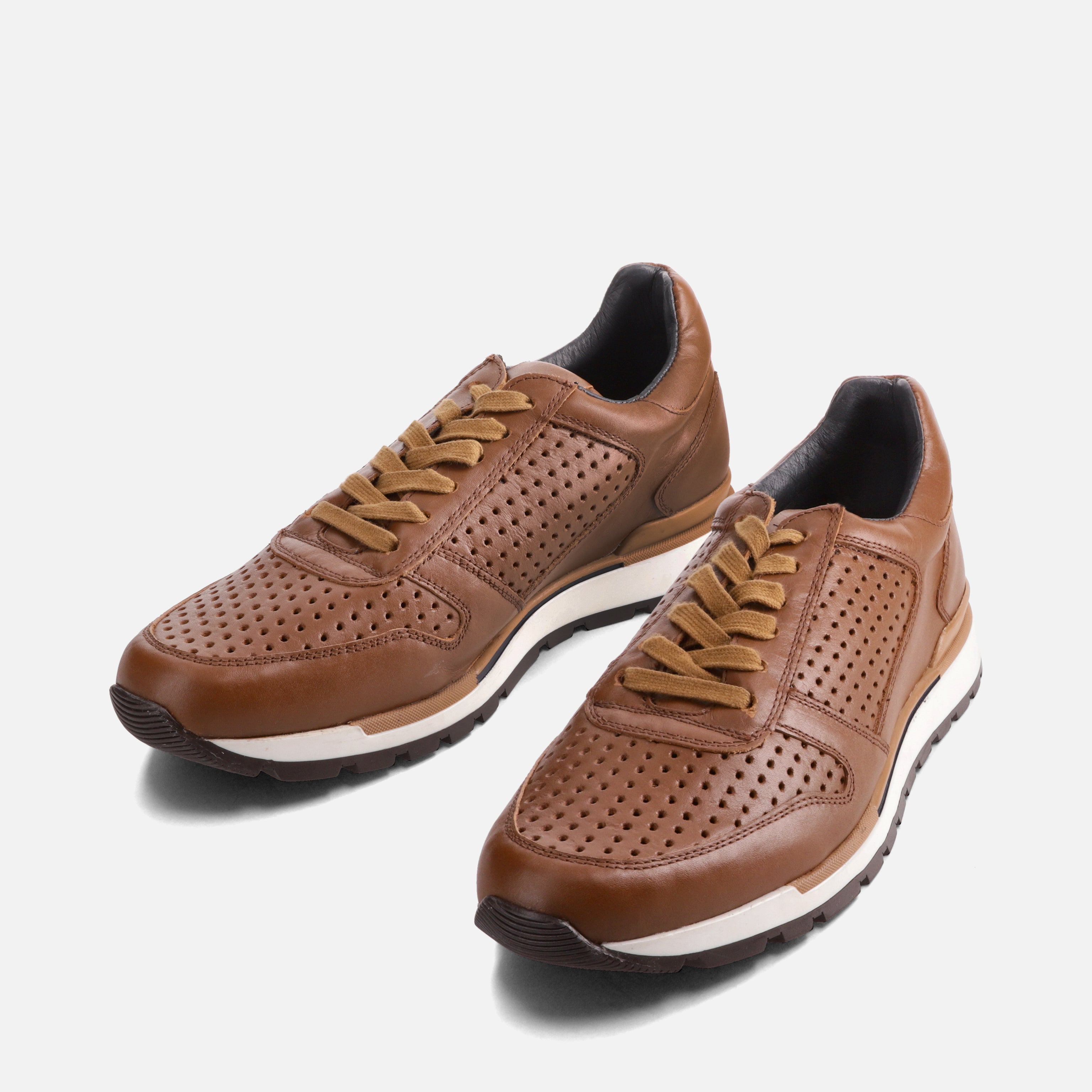 Calzado para Caballero Tenis | 169V13