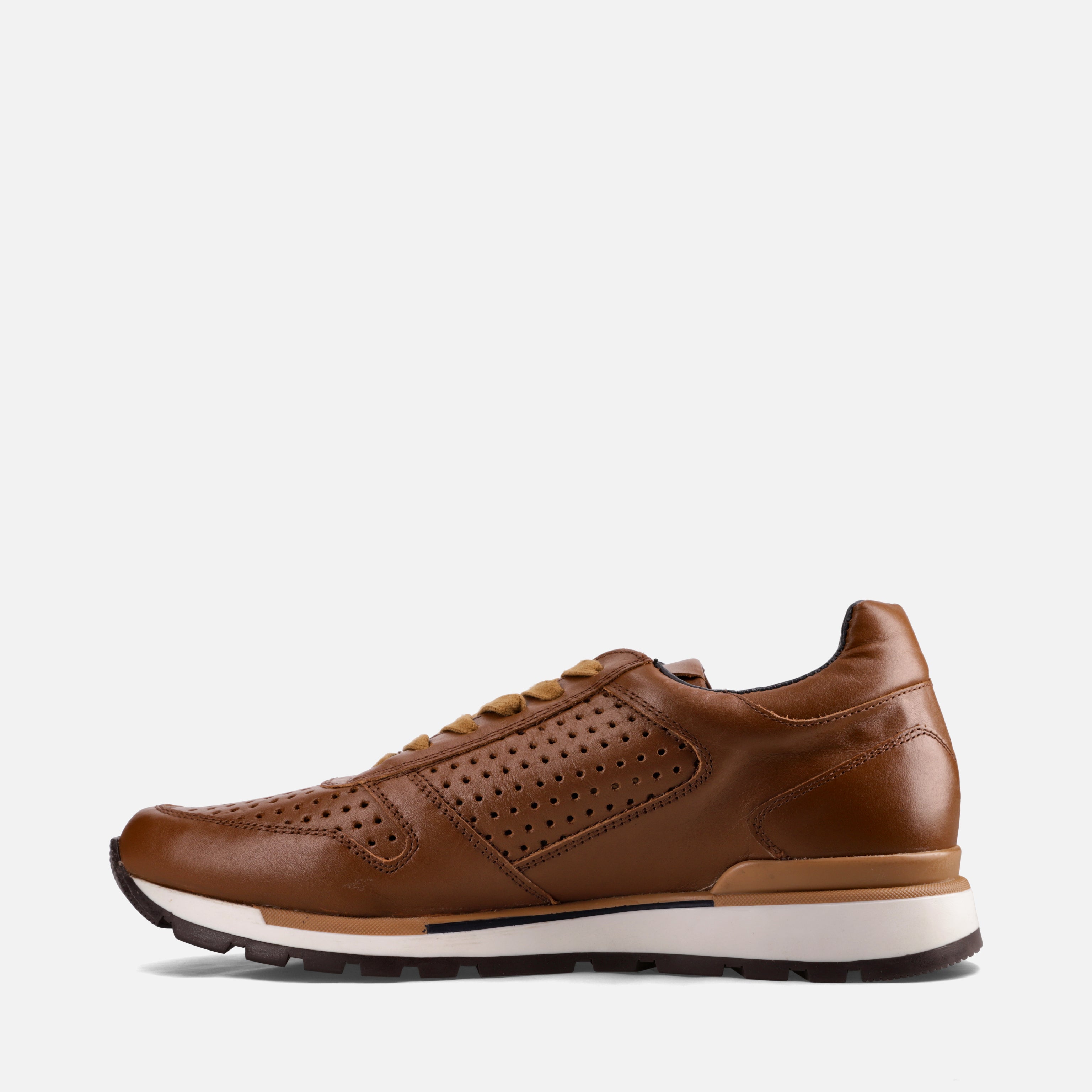 Calzado para Caballero Tenis | 169V13