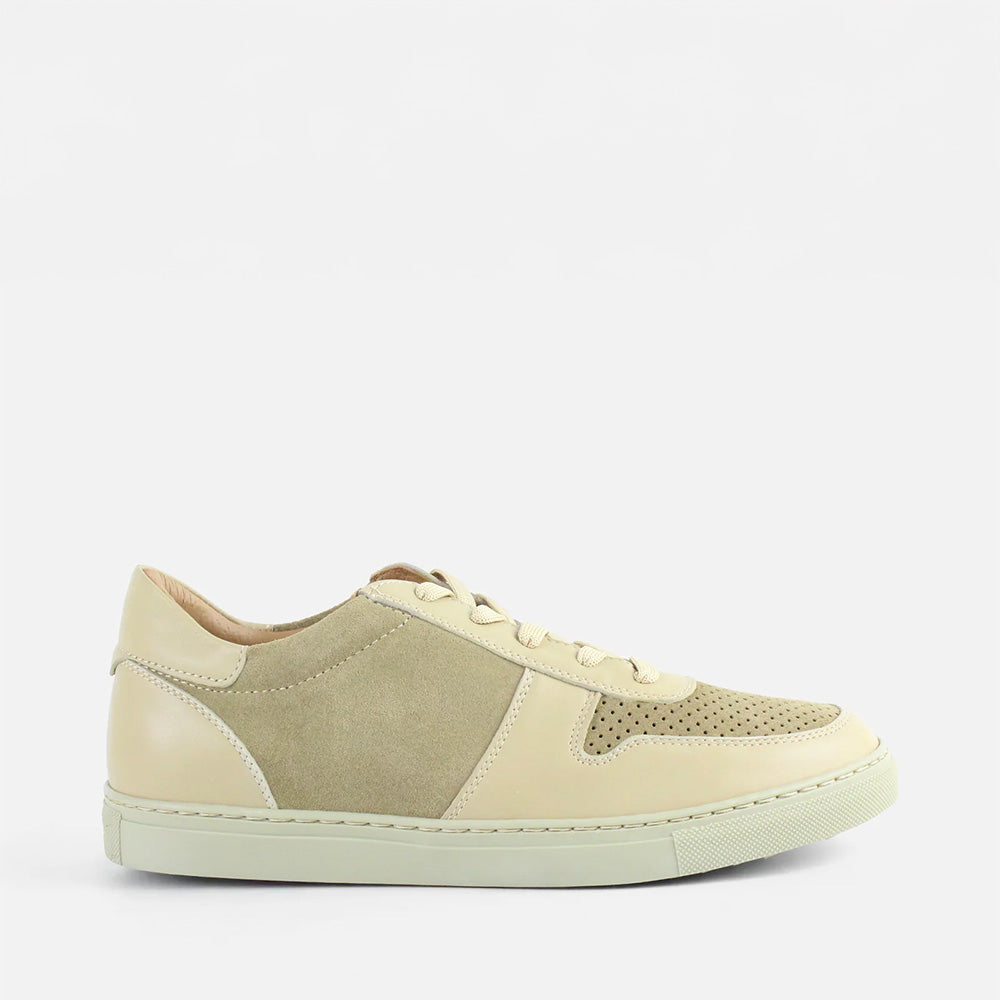 Calzado para Caballero Tenis Windhoek11 | 181V03