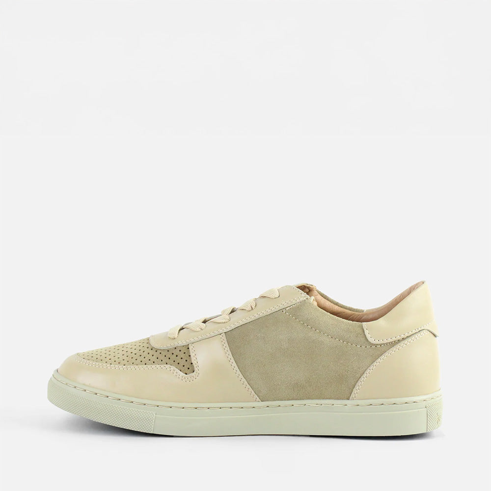 Calzado para Caballero Tenis Windhoek11 | 181V03