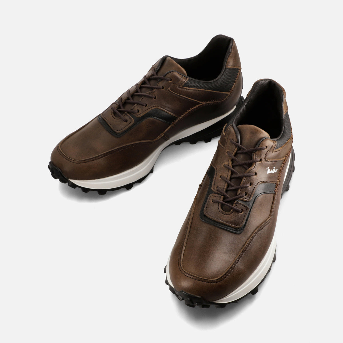 Calzado para Caballero Tenis | 224V02
