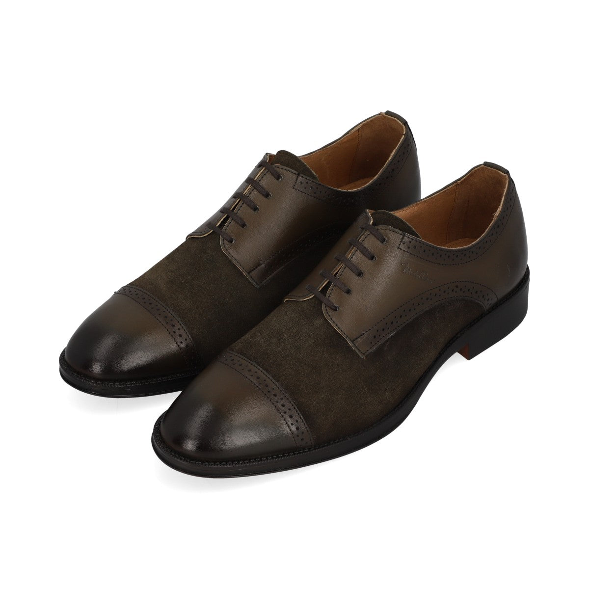 Oxford para CABALLERO DRESDE08 | 549V44