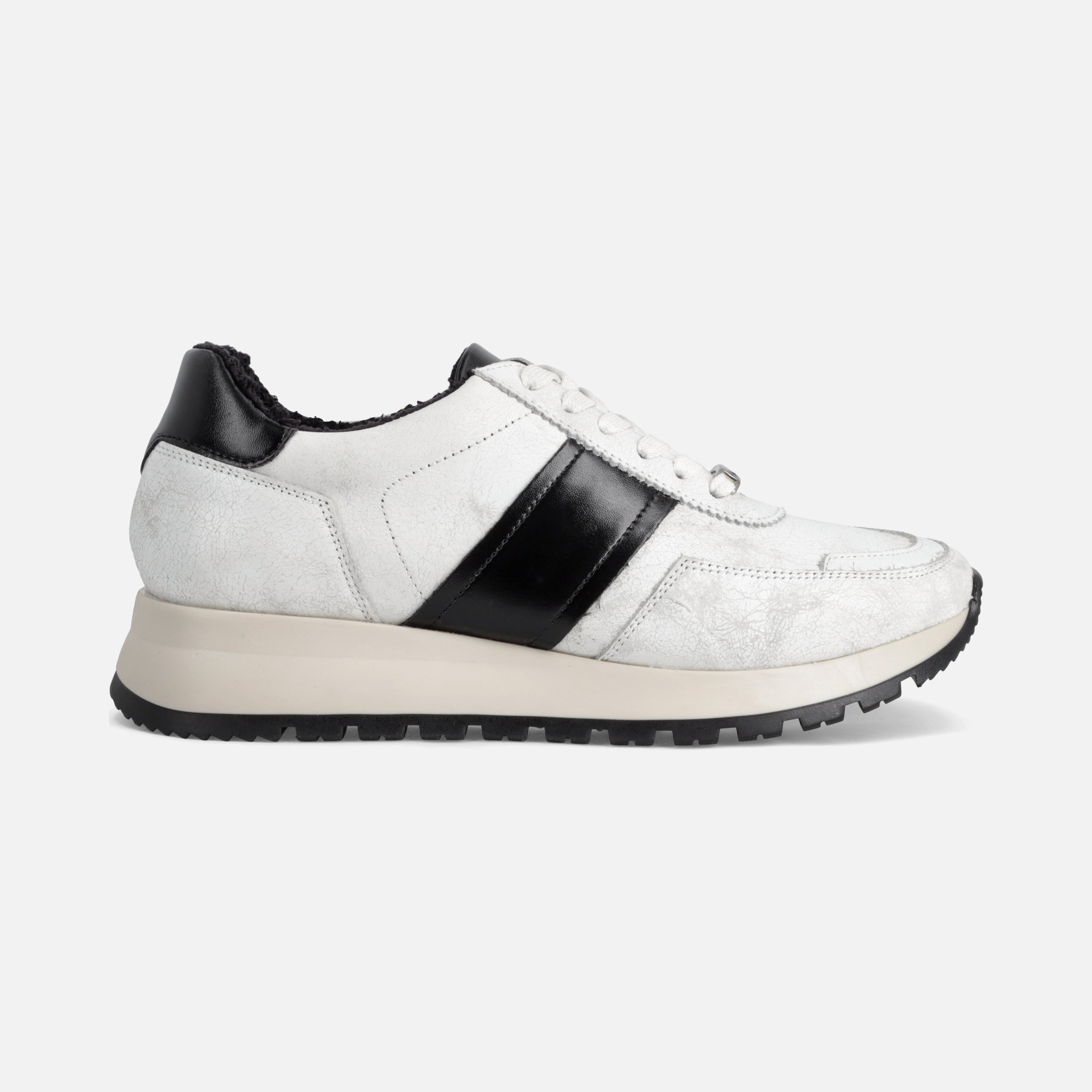 Calzado para Dama Tenis | 794V09