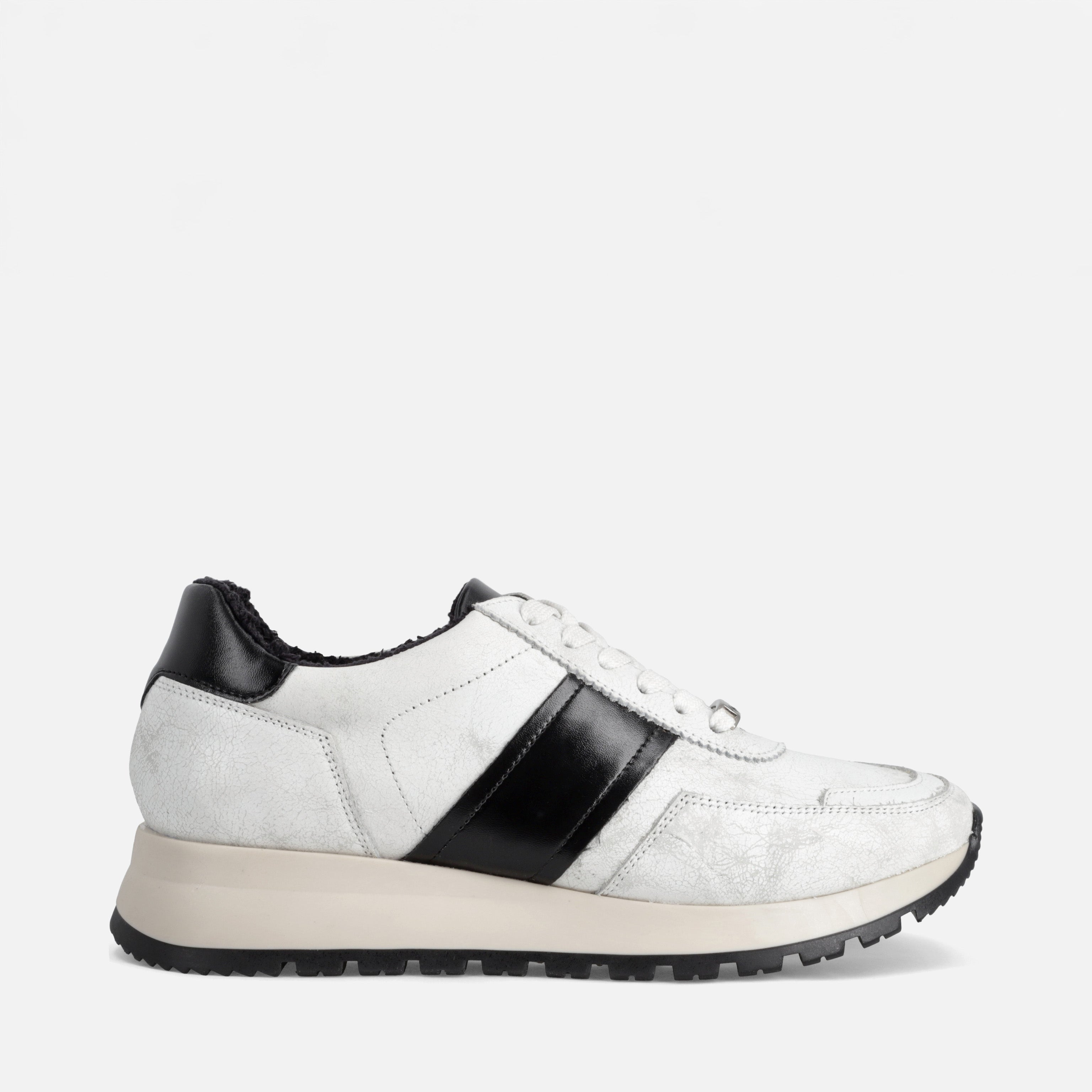 Calzado para Dama Tenis | 794V09