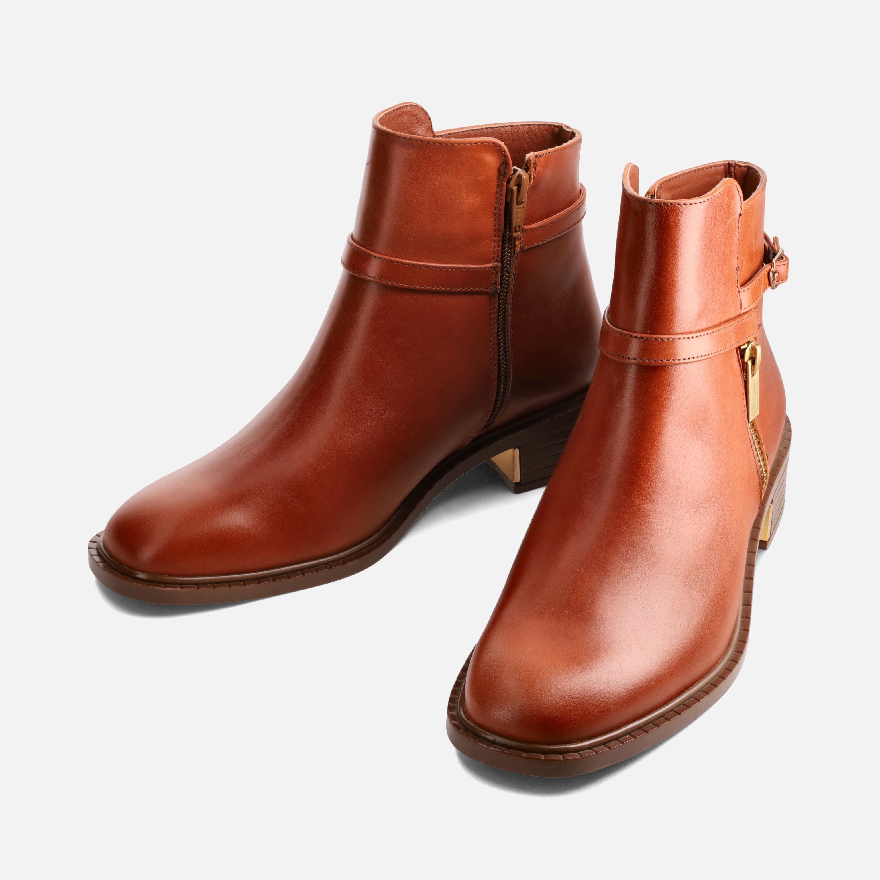 Calzado para Dama Botín Madrid31 | 810V13