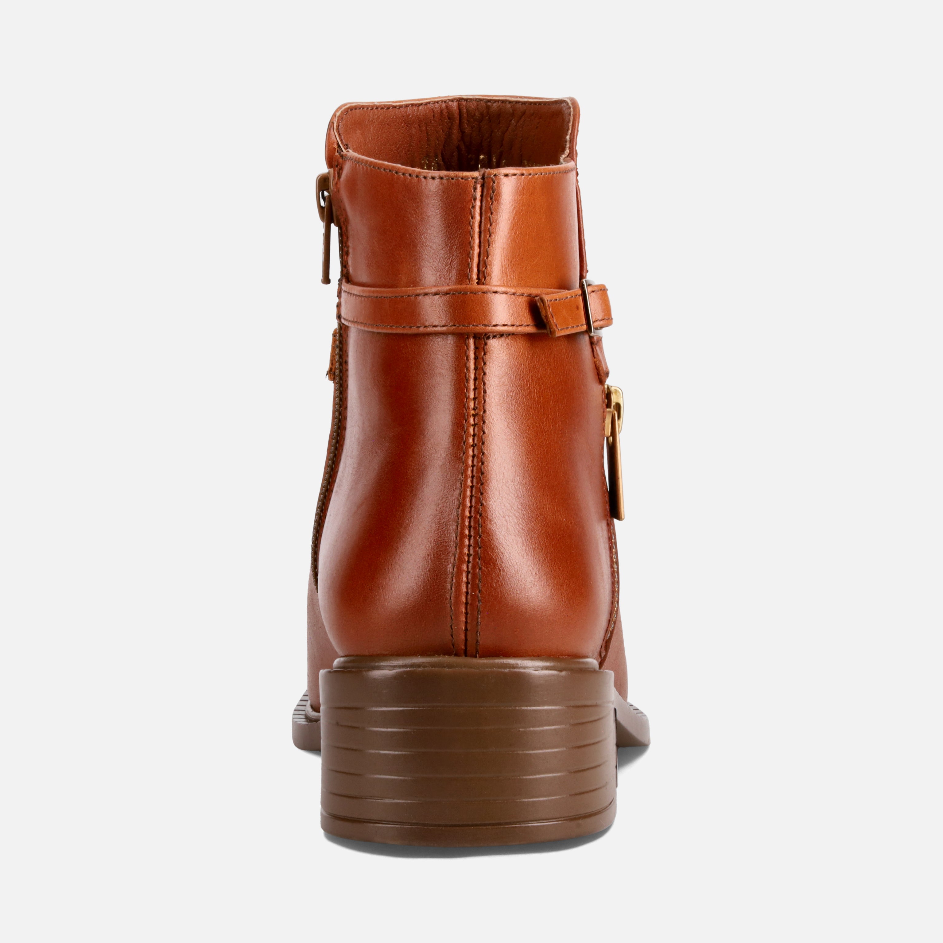 Calzado para Dama Botín Madrid31 | 810V13