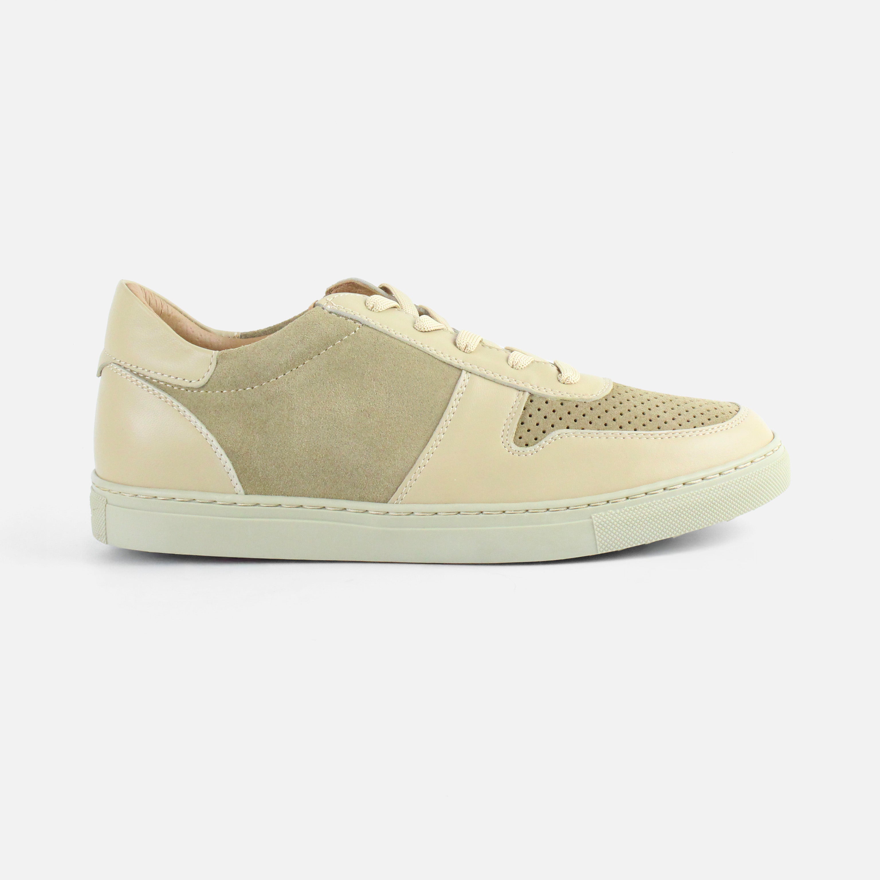 Calzado para Caballero Tenis Windhoek11 | 181V03