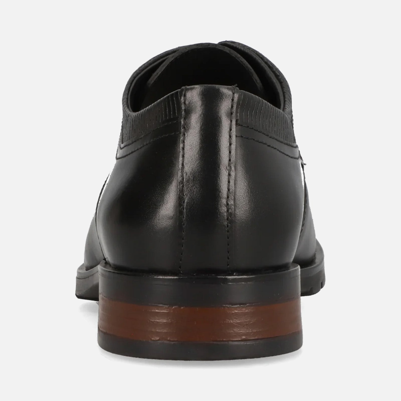 Oxford para CABALLERO ILION 08 | 0PKV01