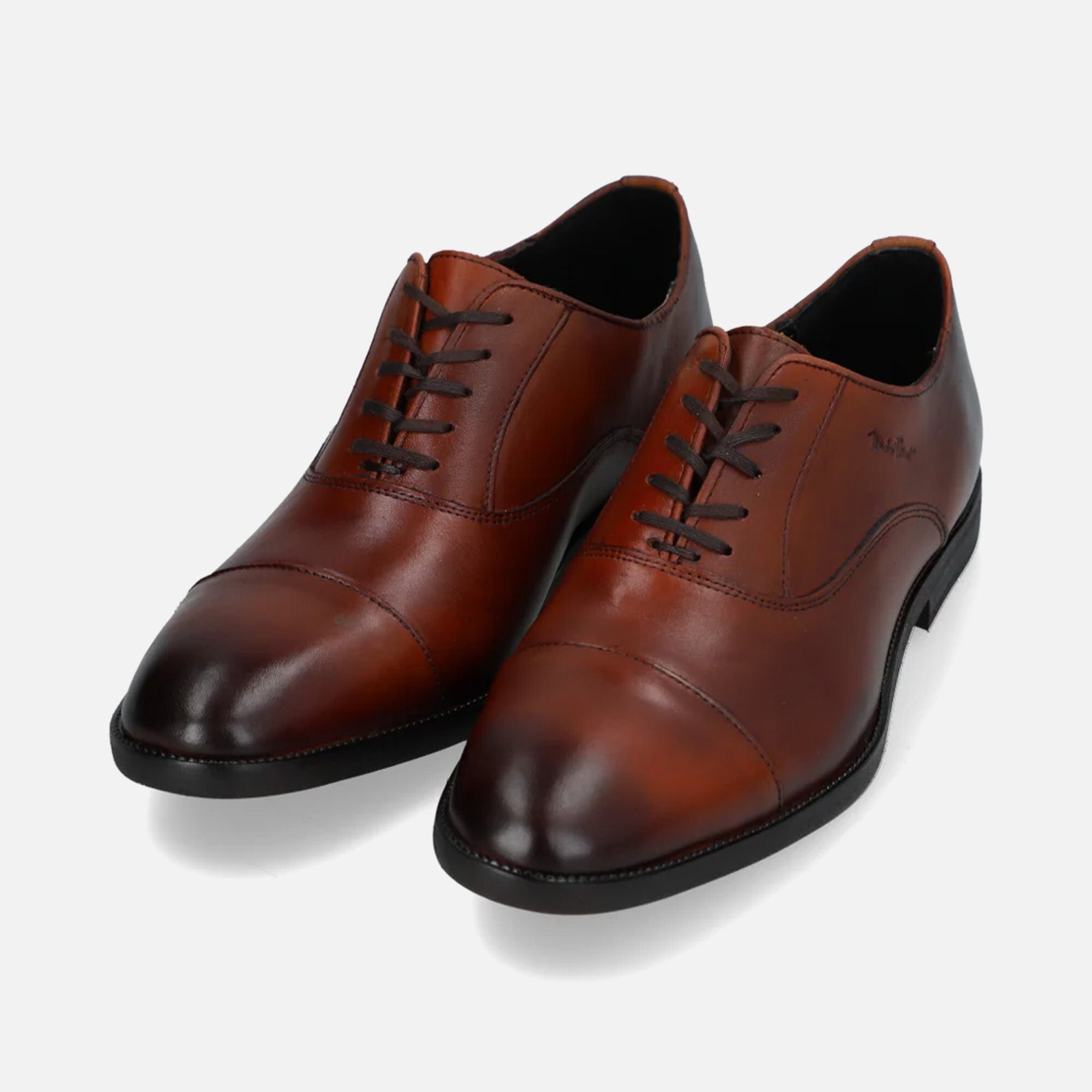 Oxford para caballero MANCHESTER-02 | 131V13