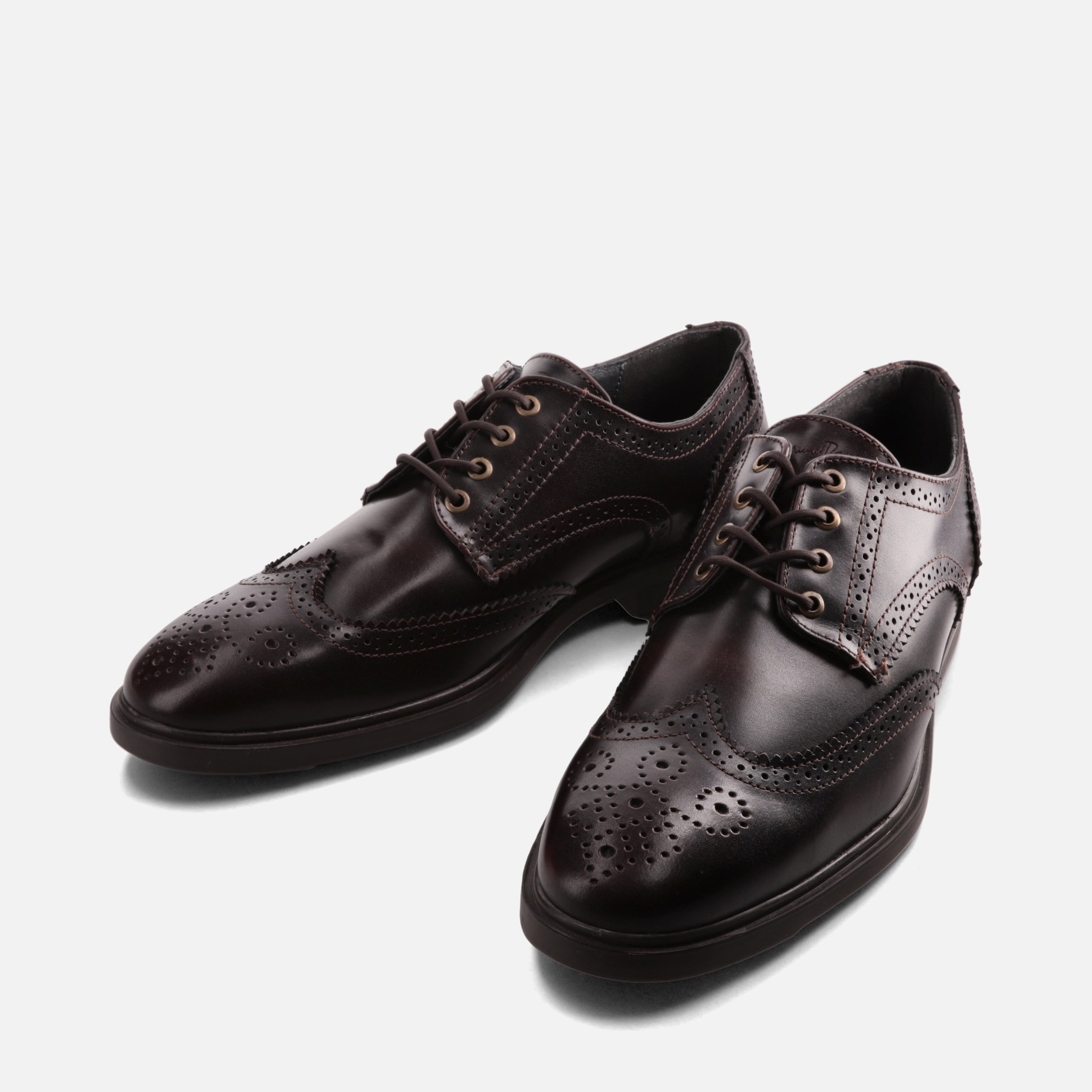 Calzado para Caballero Bostoniano | 156V31