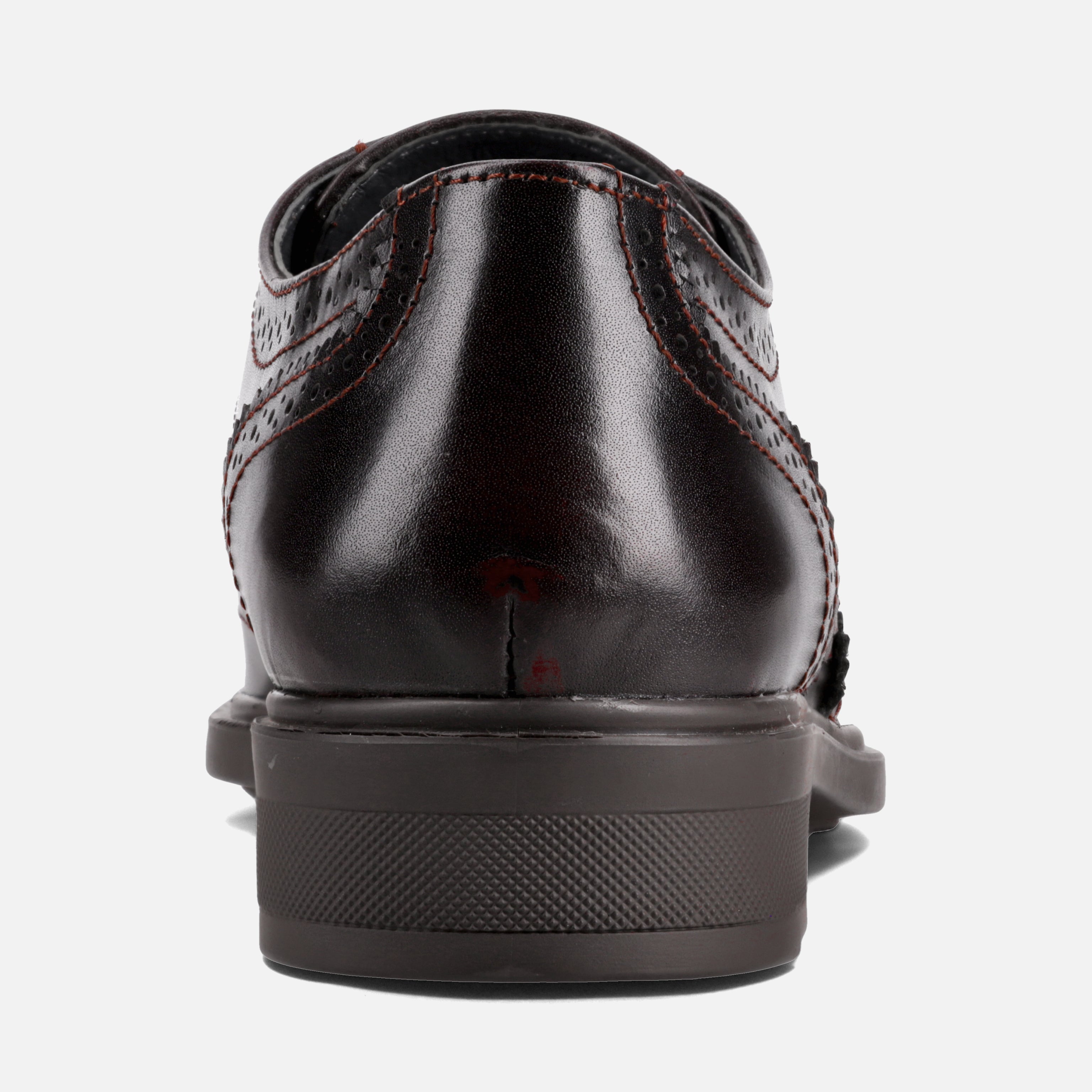 Calzado para Caballero Bostoniano | 156V31