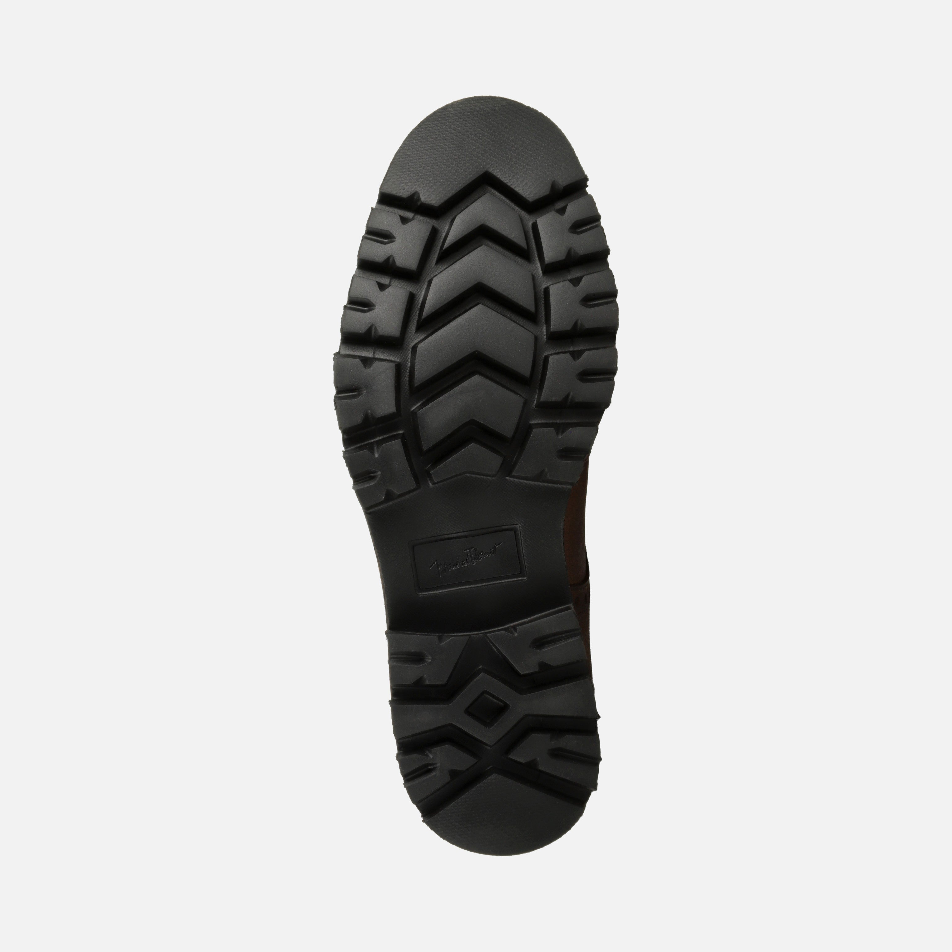 Calzado para Caballero Bota | 219V44