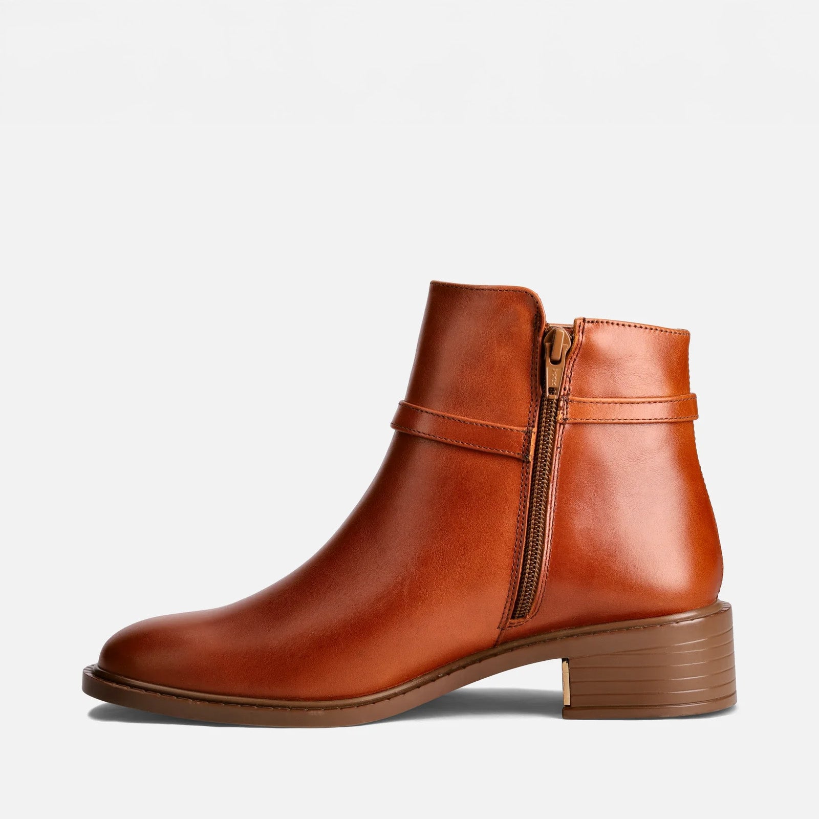 Calzado para Dama Botín Madrid31 | 810V13